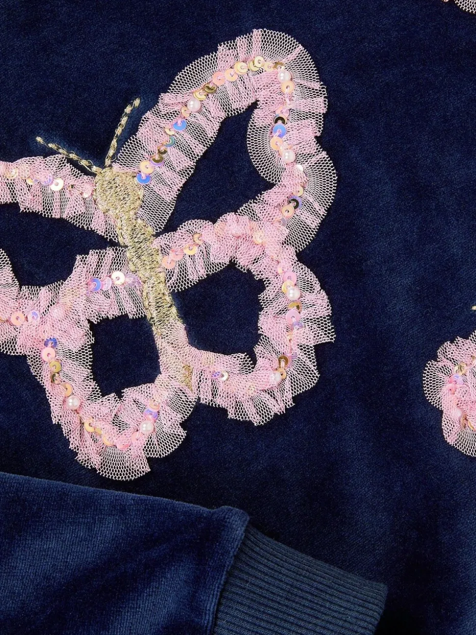 Monsoon Butterfly Embellished Top