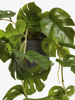 Monstera-kunsthangplant