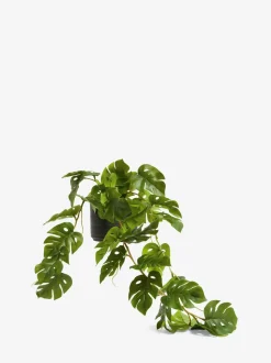 Monstera-kunsthangplant