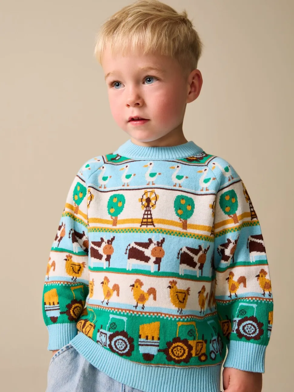 Multi Fairisle Pattern - Character Knitted Crew Neck Jumper (3mths-7yrs)