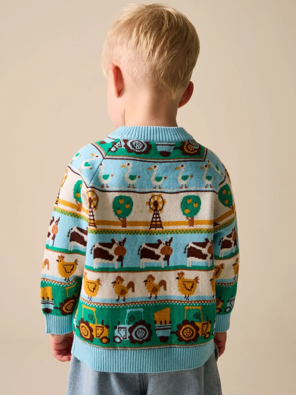 Multi Fairisle Pattern - Character Knitted Crew Neck Jumper (3mths-7yrs)