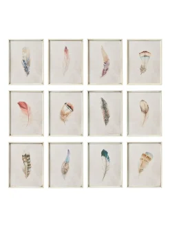 Oka Set of 12 Feather Wall Art Prints
