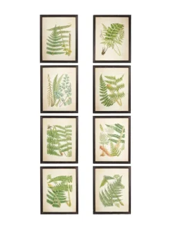 Oka Set of 8 Framed Botanical Prints