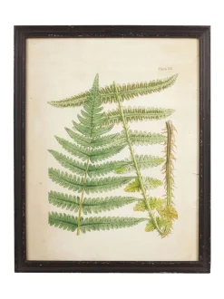 Oka Set of 8 Framed Botanical Prints