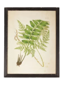 Oka Set of 8 Framed Botanical Prints