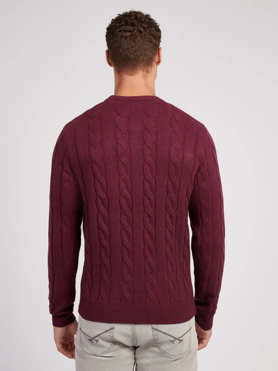 Paars - U.S. Polo Assn. Mens Cable Knit Crew Jumper