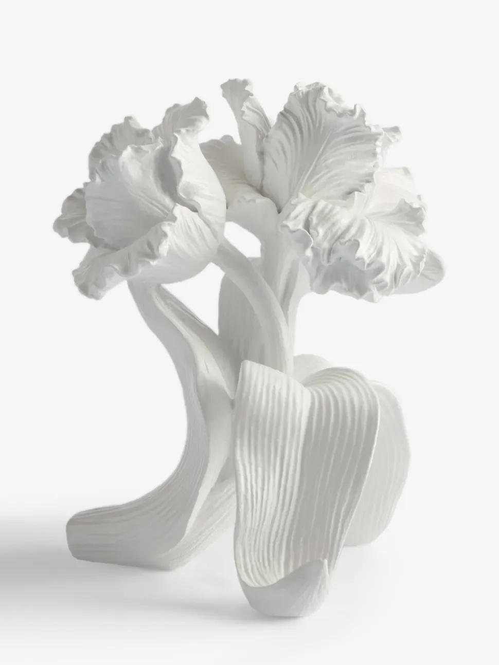 Parrot Tulip Flower Ornament
