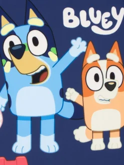 Personage Bluey surfpak voor jongens