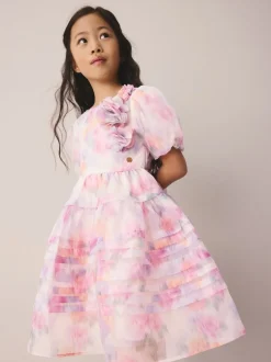 Pink Garden Roses Blurred - Laura Ashley Corsage Organza Pintuck Dress