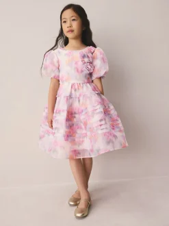 Pink Garden Roses Blurred - Laura Ashley Corsage Organza Pintuck Dress