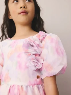 Pink Garden Roses Blurred - Laura Ashley Corsage Organza Pintuck Dress
