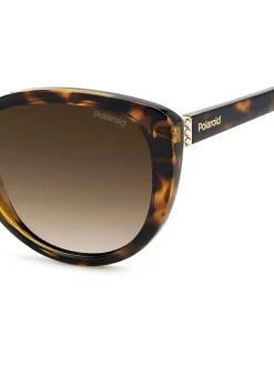 Polaroid Brown Cat Eye Sunglasses