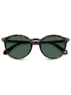 Polaroid Havanas Panthos Brown Sunglasses