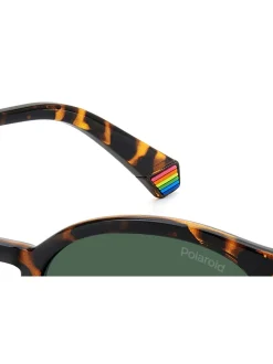 Polaroid Havanas Panthos Brown Sunglasses