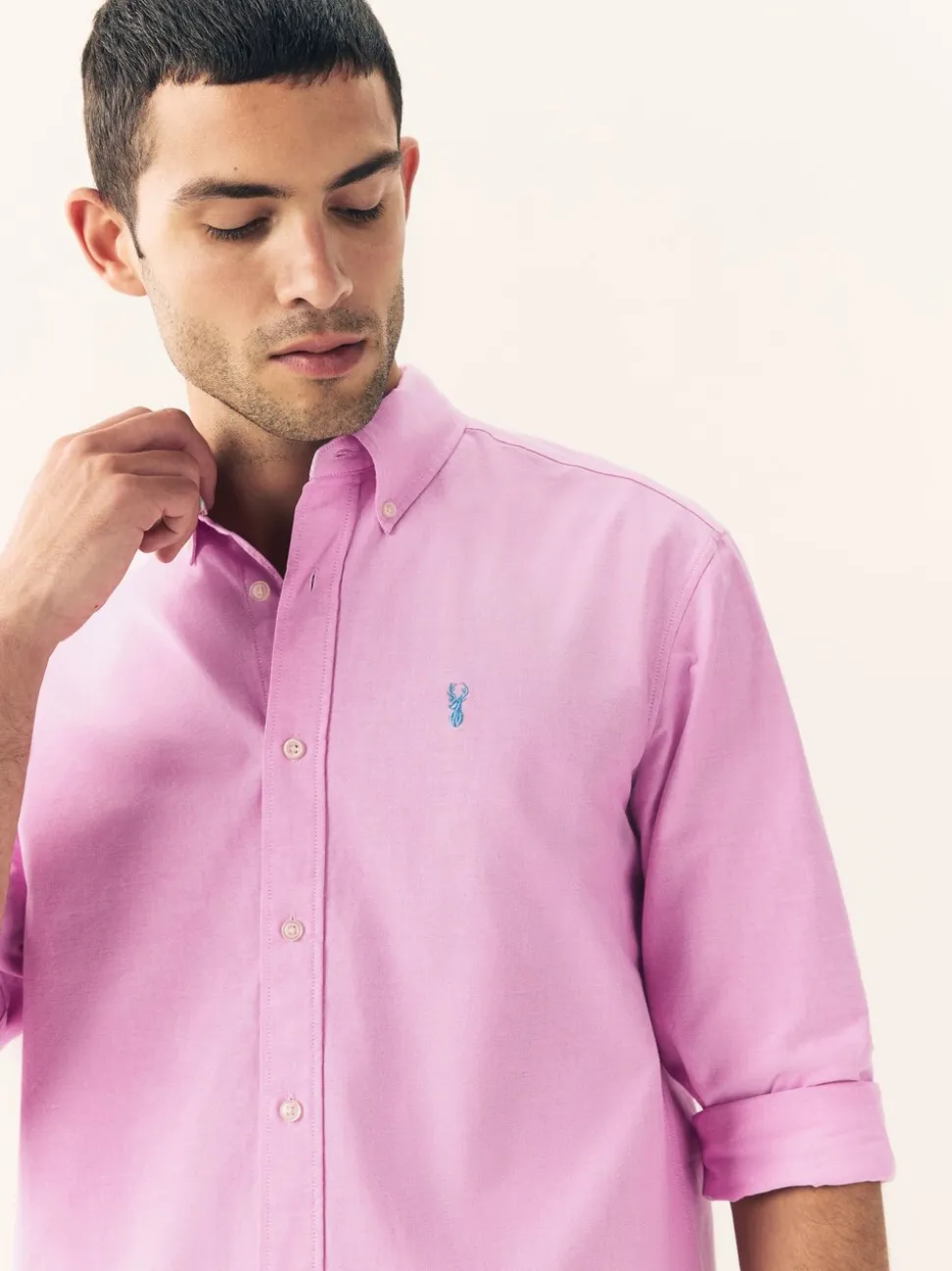 Roze - Normale Pasvorm - Oxford-hemd met lange mouwen