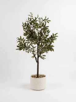 Scottish Everlastings Ltd Artificial Olive Tree in Ceramic Pot