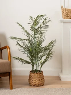 Scottish Everlastings Ltd Artificial Palm Tree in Basket