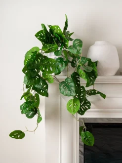 Scottish Everlastings Ltd Artificial Trailing Monkey Mask Plant