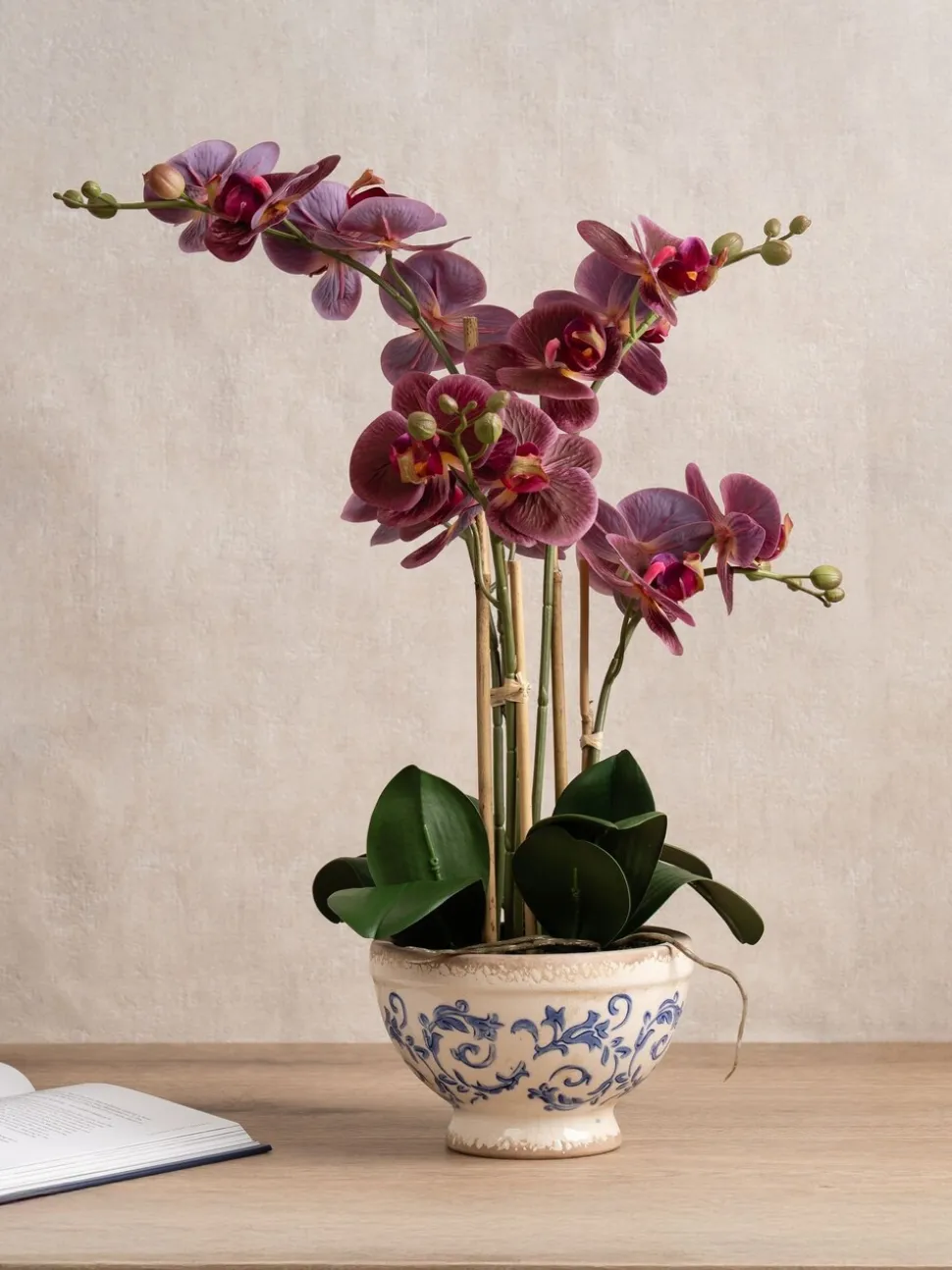 Scottish Everlastings Ltd Artificial Real Touch Phalaenopsis Orchid in Pot