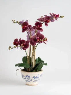 Scottish Everlastings Ltd Artificial Real Touch Phalaenopsis Orchid in Pot