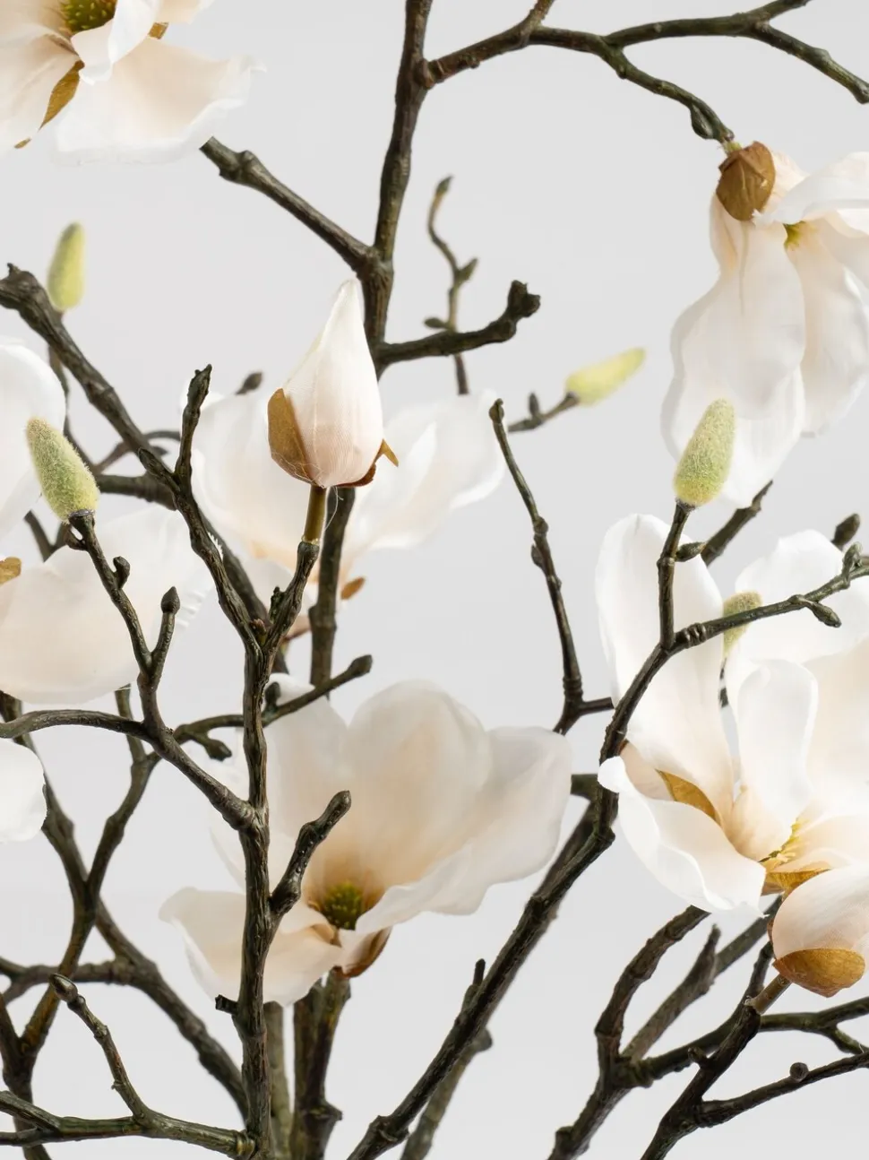 Scottish Everlastings Ltd Artificial Magnolia In Resin Pot