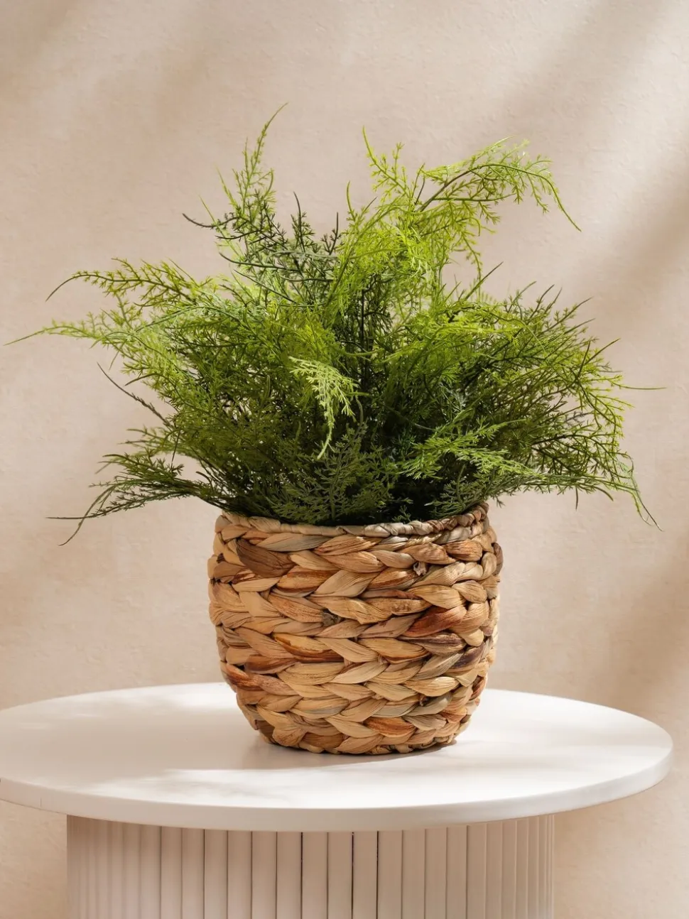 Scottish Everlastings Ltd Artificial Fern in Basket