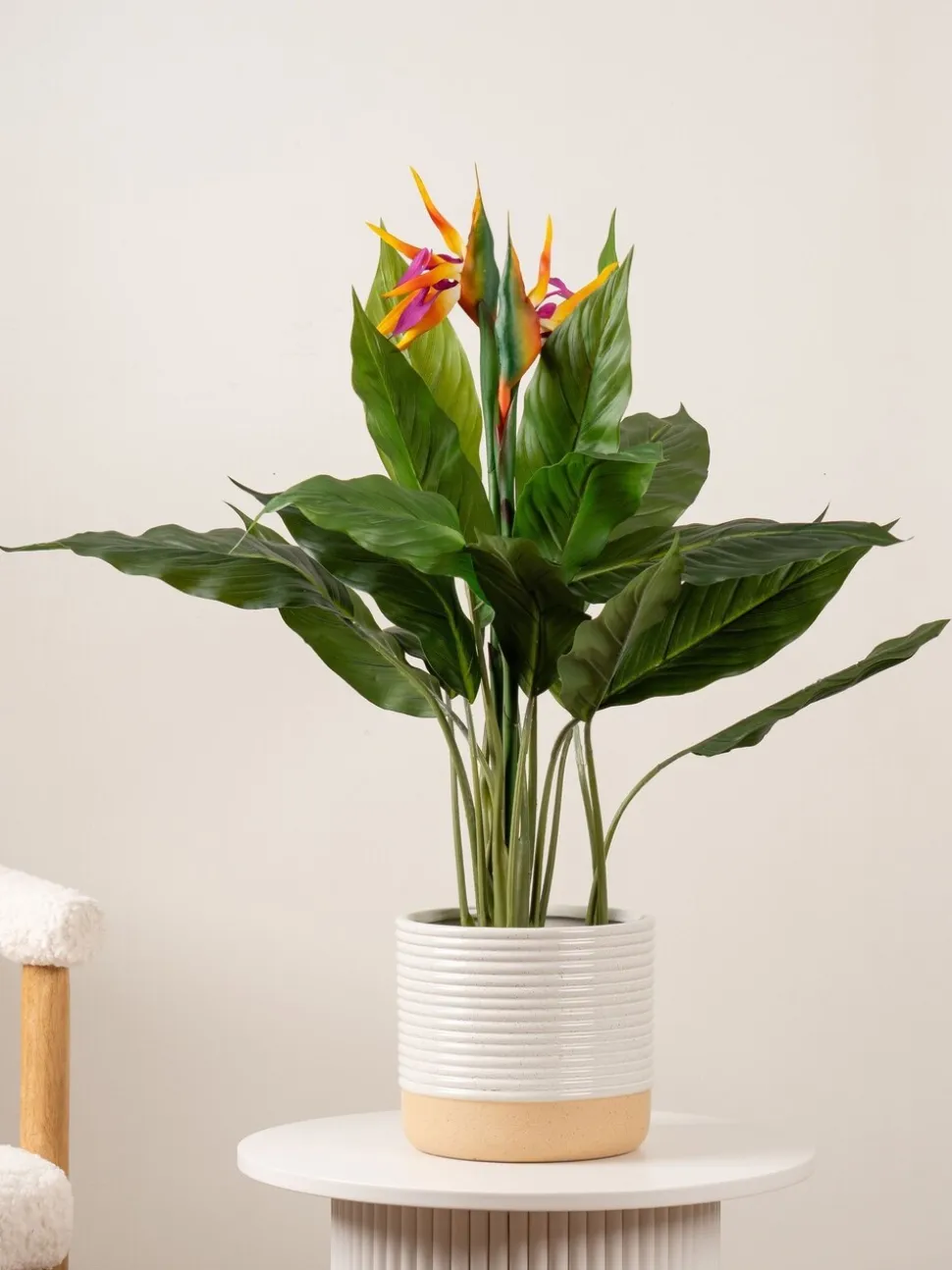 Scottish Everlastings Ltd Artificial Bird of Paradise Tree with Flower