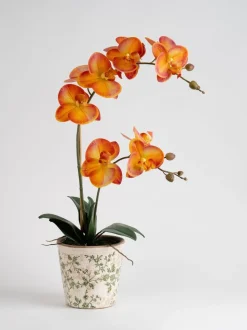 Scottish Everlastings Ltd Artificial Real Touch Orchid