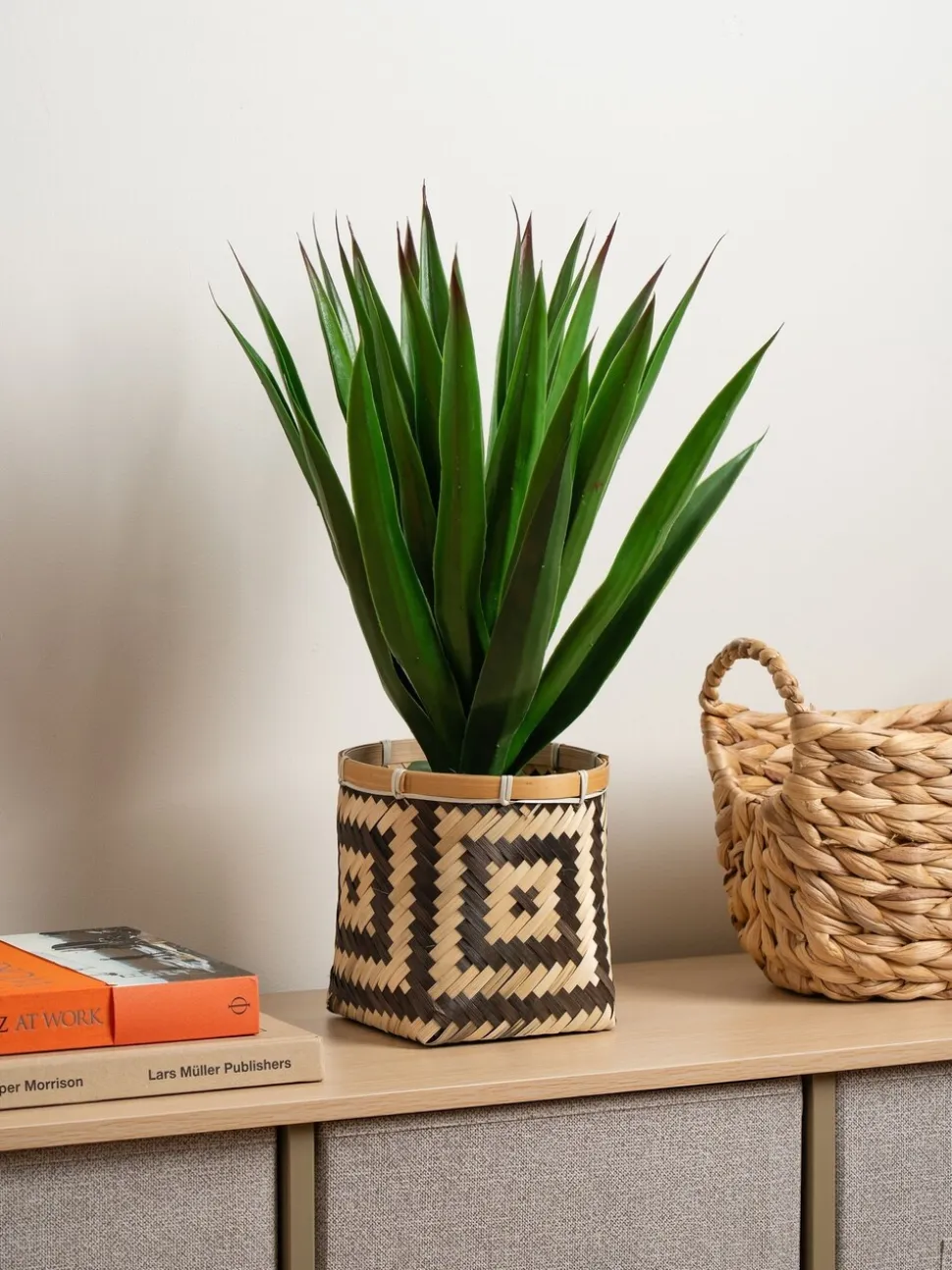 Scottish Everlastings Ltd Artificial Aloe in Basket