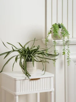 Scottish Everlastings Ltd Set of 2 Artificial Plants in Glazed Pots