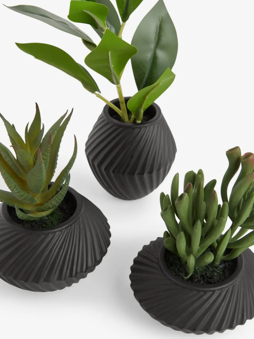 Set of 3 Artificial Succulents In Black Bronx Pots
