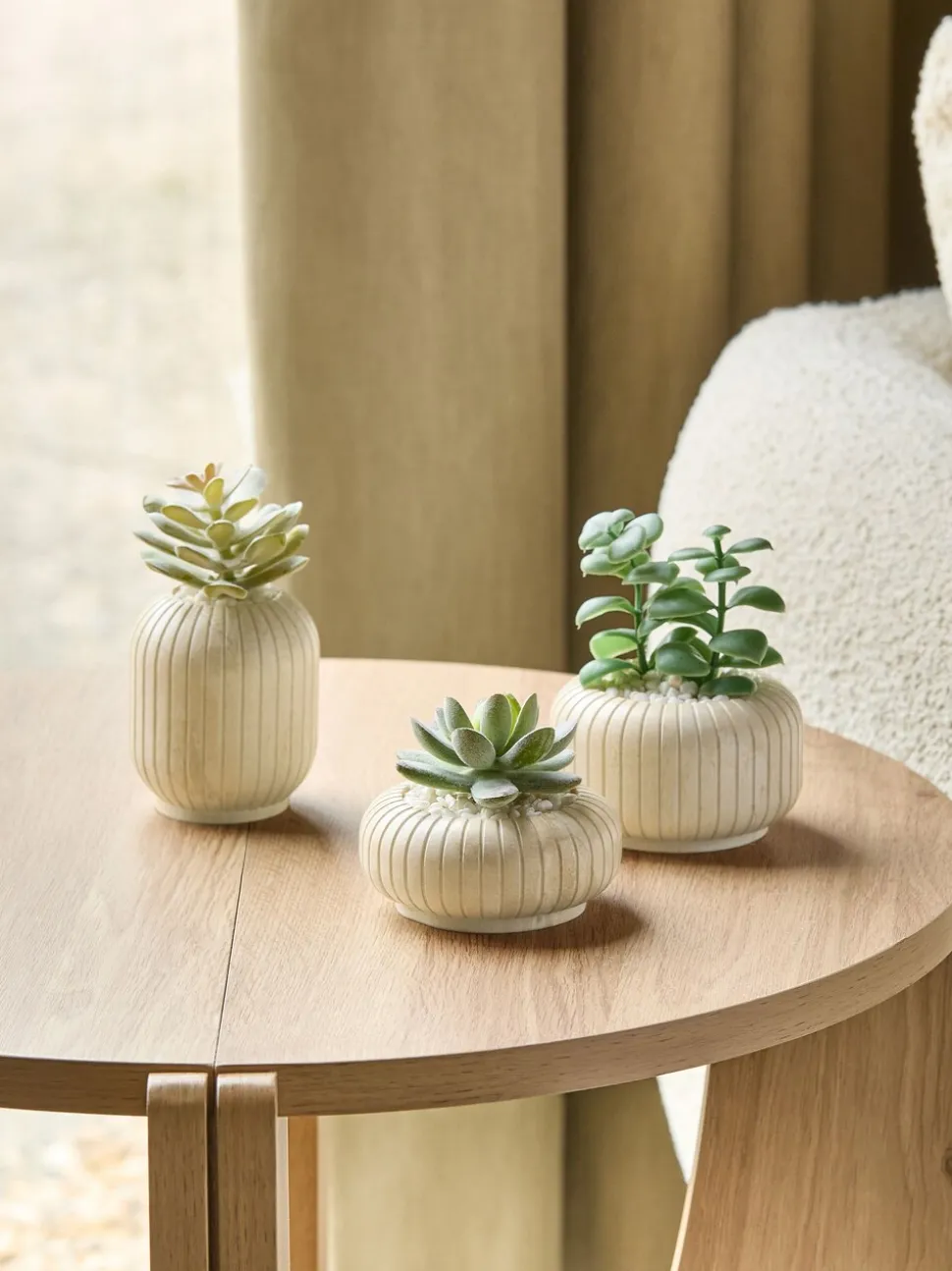 Set of 3 Succulents In Ribbed Plant Pots