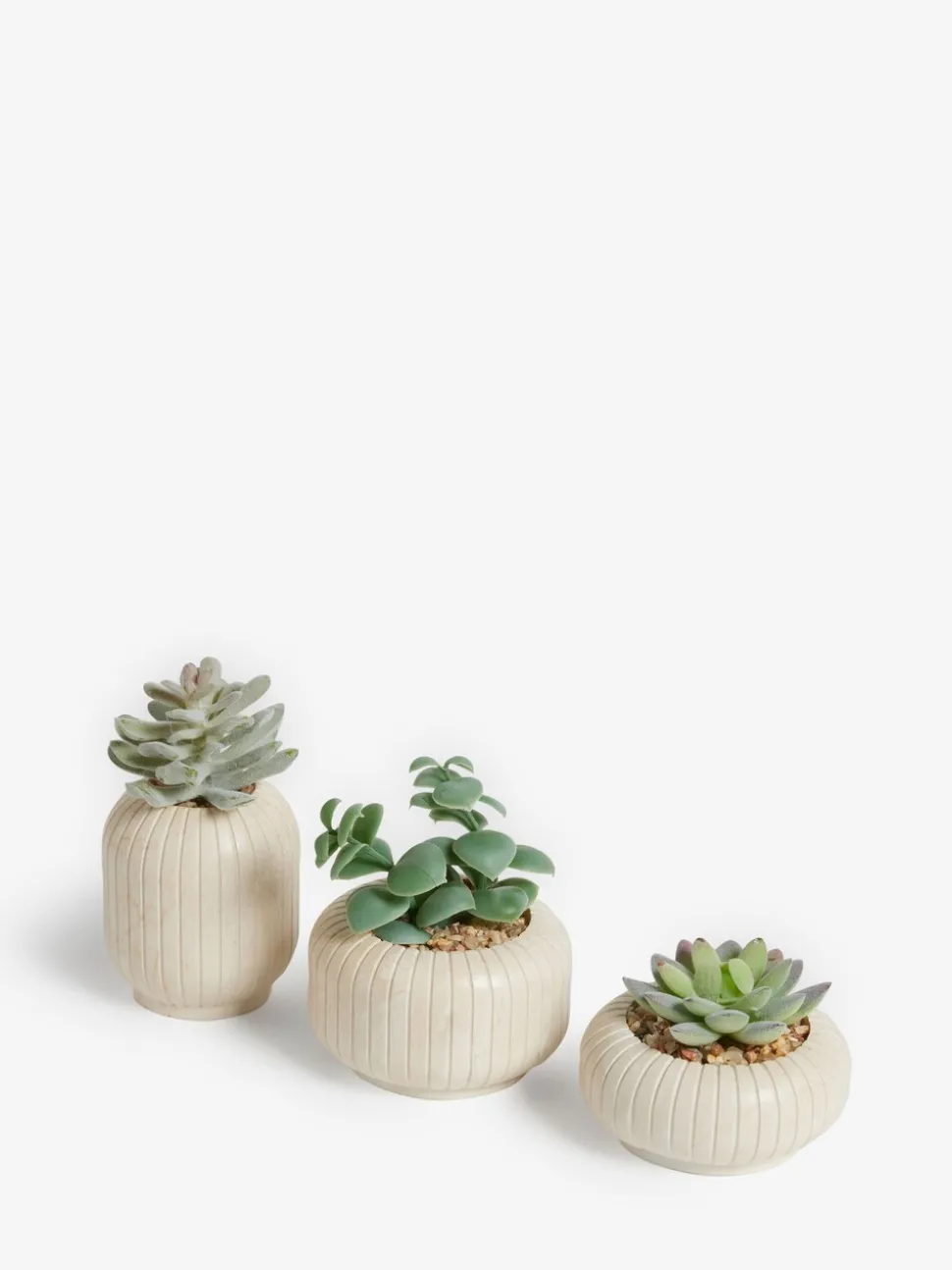 Set of 3 Succulents In Ribbed Plant Pots