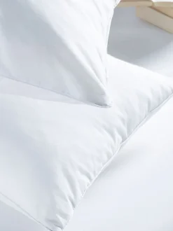 Set van 2 Sleep In Silk kussens van 100% katoen