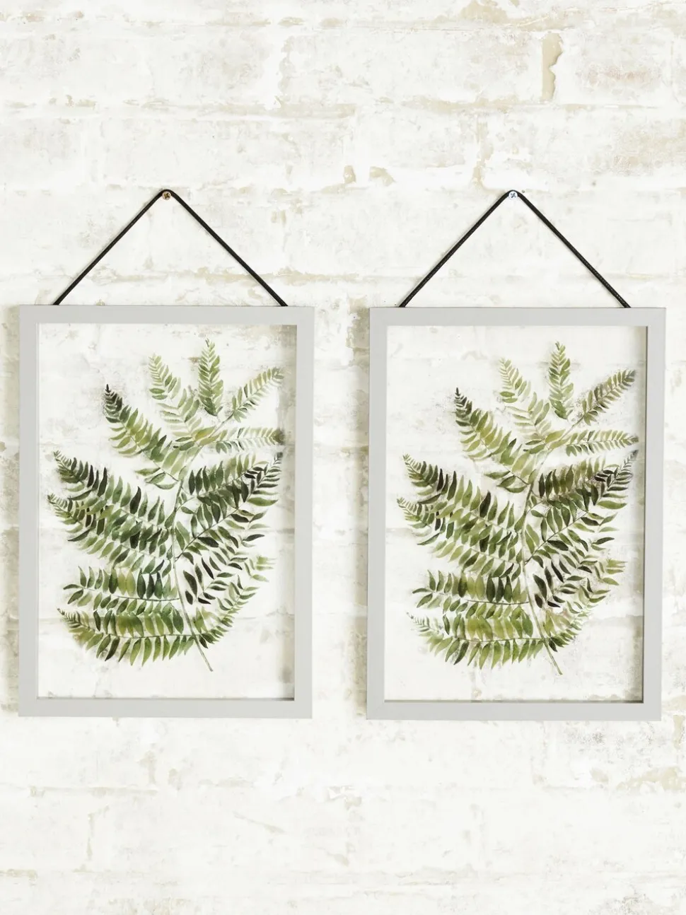 Set van 2 zwevende planten in grijze hanglijsten voor aan de wand