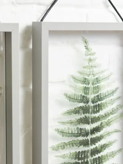 Set van 2 zwevende planten in grijze hanglijsten voor aan de wand