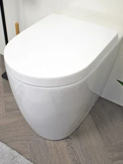 Showerdrape D-Shape Soft Close Two Button Release Detroit Toilet Seat