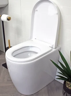 Showerdrape D-Shape Soft Close Two Button Release Detroit Toilet Seat