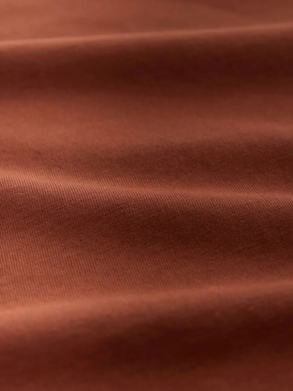 Slate/Green/Ecru/Orange/Brown - Normale Pasvorm - verpakking van 5 regular-fit T-shirts met lange mouwen van 100% katoen