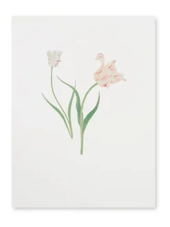 Sophie Allport Tulpen Print Kunstwerk