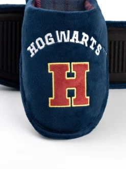 Vanilla Underground Harry Potter-pantoffels voor heren