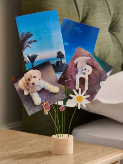 Wooden Flowers Photo Holder