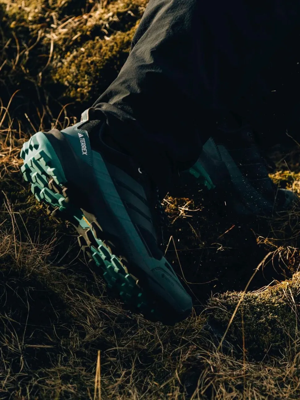 Zwart - adidas Terrex Skychaser AX5 GORE-TEX Hiking Trainers